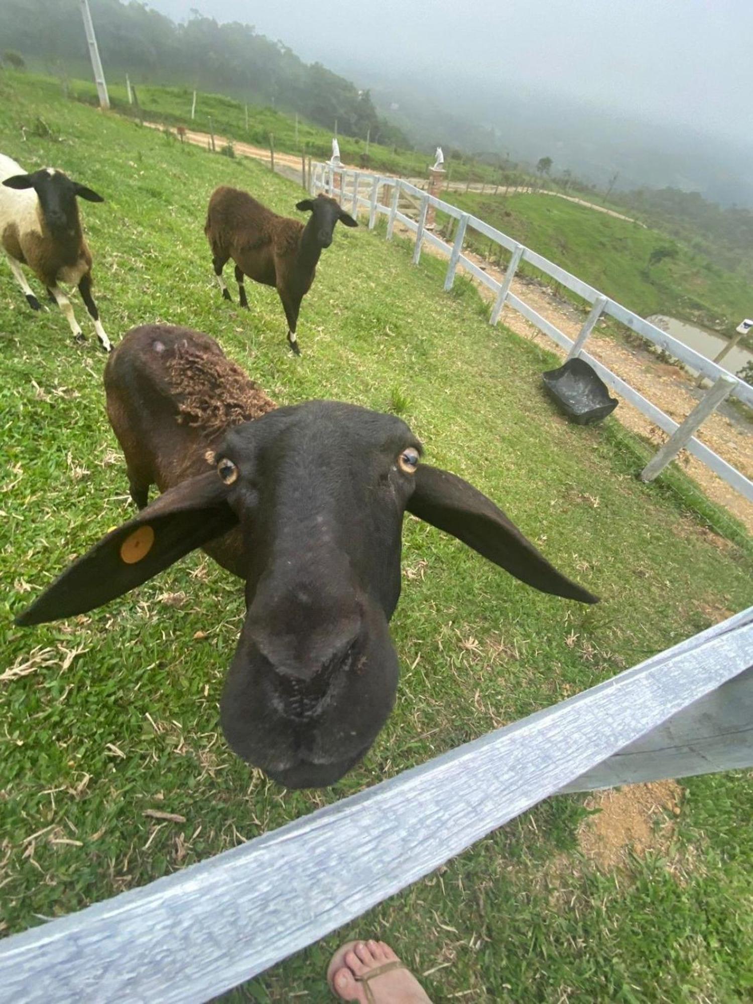 Rancho Sol Poente - Rancho Queimado - Scヴィラ エクステリア 写真