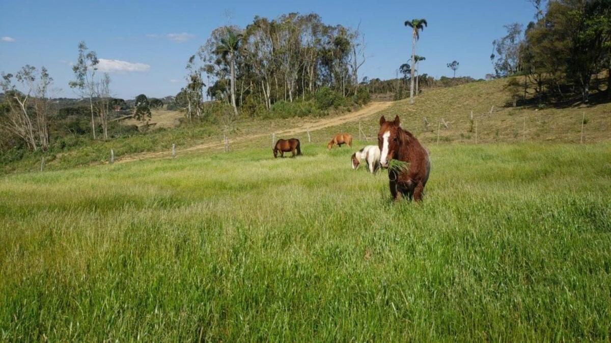 Rancho Sol Poente - Rancho Queimado - Scヴィラ エクステリア 写真