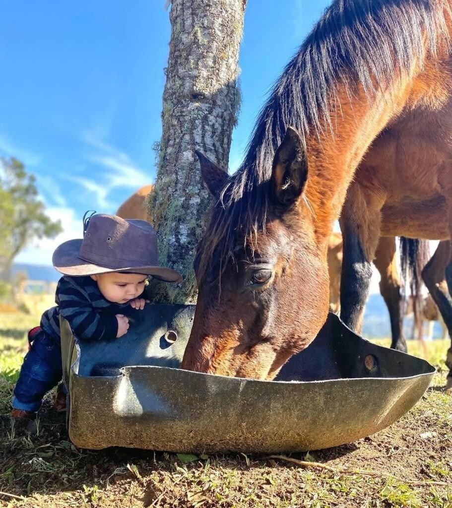 Rancho Sol Poente - Rancho Queimado - Scヴィラ エクステリア 写真